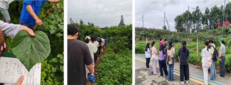 首個！中國農(nóng)業(yè)大學(xué)攜手新朝陽啟動“朝陽稼穡計劃”