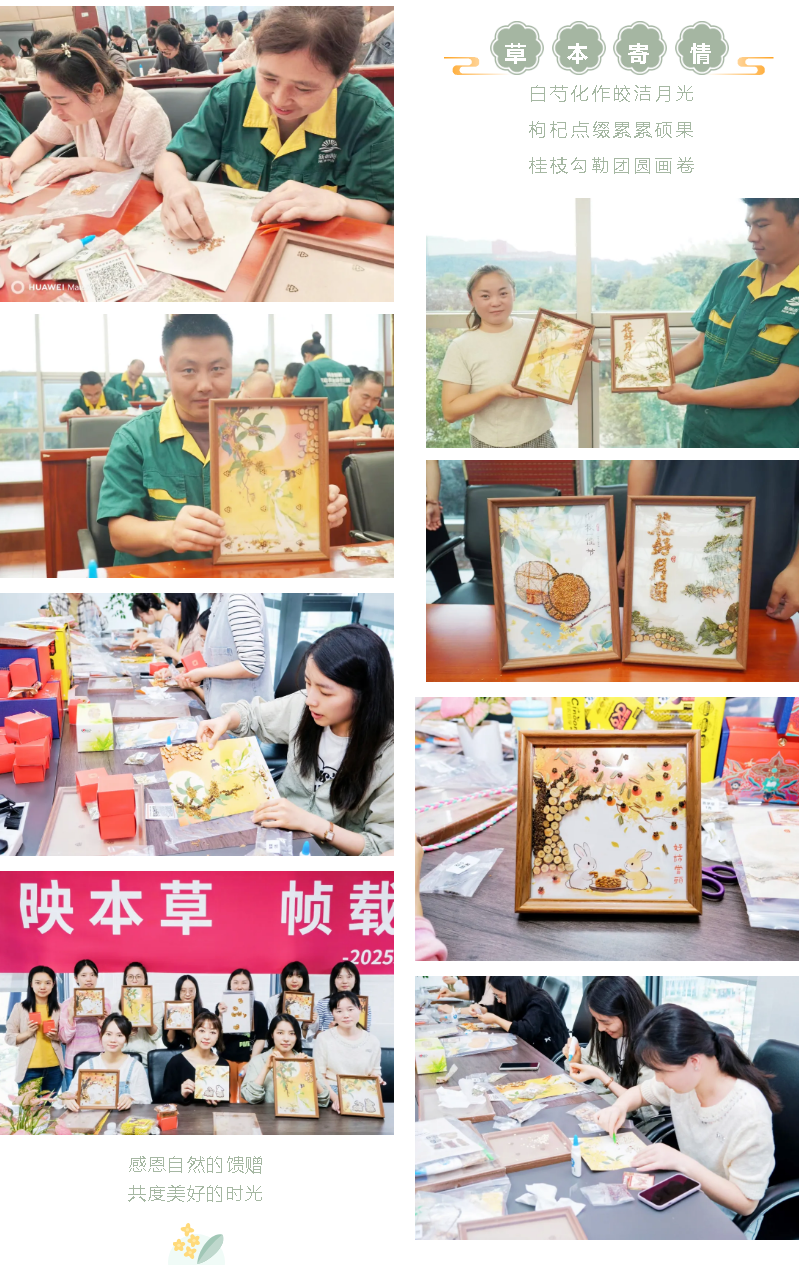 月滿人團(tuán)圓 朝陽共此時