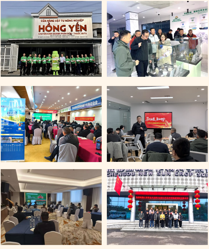 快馬加鞭戰(zhàn)春耕，馬年奮進(jìn)正當(dāng)時(shí)